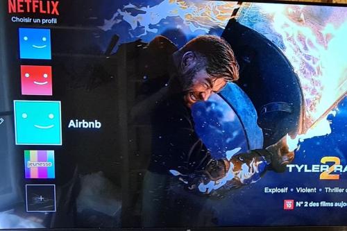 TV a/nebo společenská místnost v ubytování L echo-Logis Yonnais