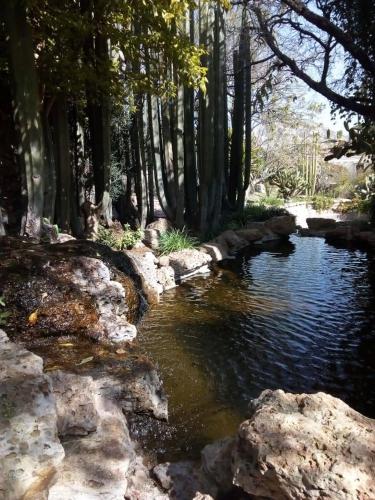 a stream of water with rocks in a forest at Centenario Los Arroyitos in Bernal
