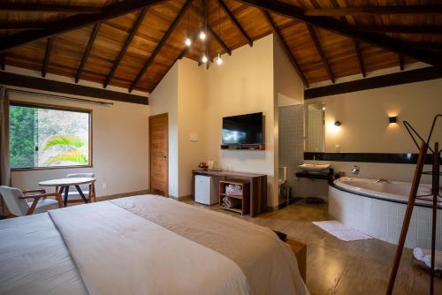 a bedroom with a bed and a tub and a television at Villa Severina in Brumadinho