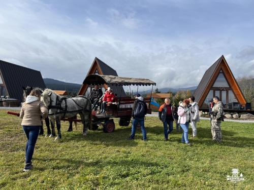 a group of people standing in a field with a horse drawn carriage at Transylvania Apartments in Borzont