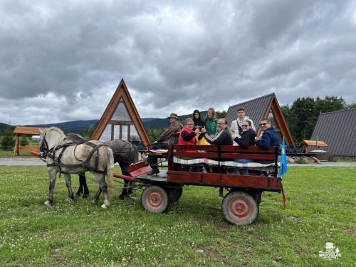a group of people riding in a horse drawn cart at Transylvania Apartments in Borzont
