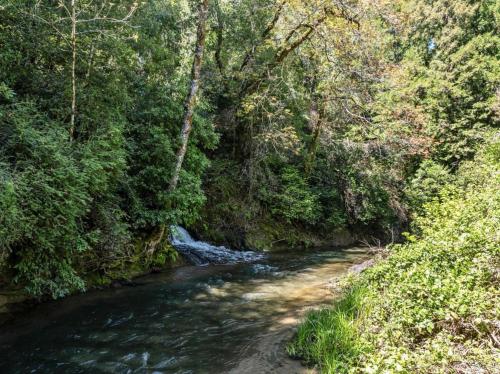 a stream in a forest next to a river at Either Way Hideaway in Boulder Creek