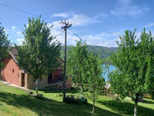 a house with trees in front of a lake at Vila Konstantinović in Perućac