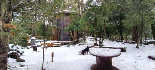 Cabañita Del Árbol durante l'inverno