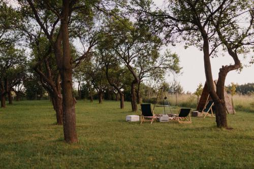 two chairs and a hammock in a field with trees at Śliwkowy Sad-Plum Orchard-Jura in Mirów