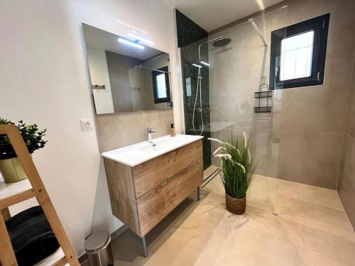a bathroom with a sink and a shower and a mirror at Villa L'Olivier in Vallon-Pont-dʼArc