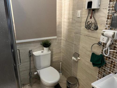 a bathroom with a toilet with a plant on top of it at شقه فاخره بكمبوندبشارع التسعين القاهره الجديده in New cairo