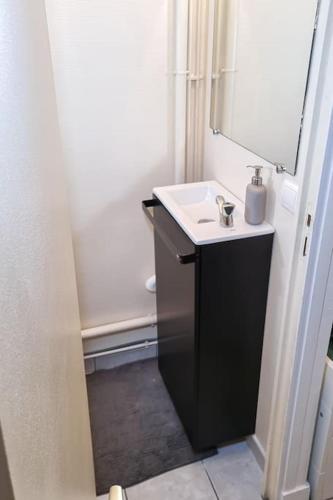 une salle de bain avec un lavabo et un miroir dans l'établissement Duplex Paris, à Paris
