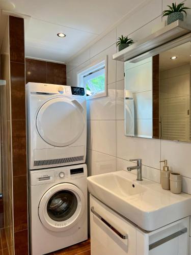 a bathroom with a washing machine and a sink at Luxe Boshuisje met Privé Wellness & Jacuzzi op de Veluwe in Ermelo