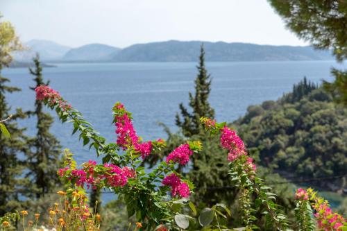Φυσικό τοπίο κοντά σε αυτή η βίλα