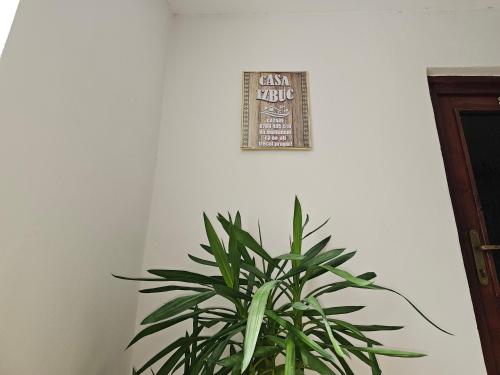 a plant in a room with a sign on a wall at Casa Izbuc in Izbuc