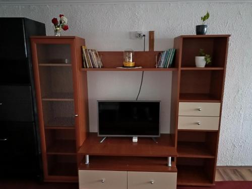 Knihovna v apartmánu