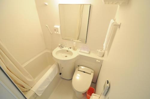 a bathroom with a toilet and a sink and a mirror at Hotel Tulip Ishigakijima in Ishigaki Island