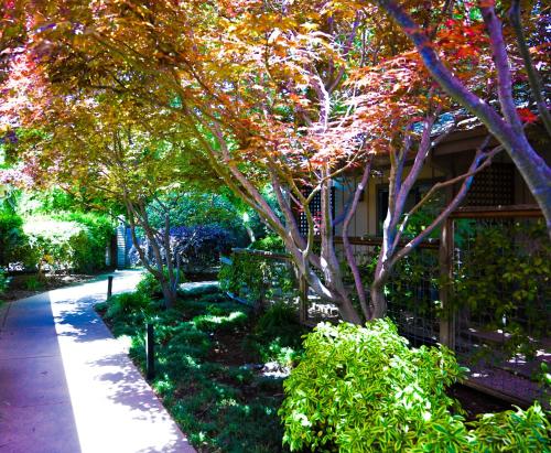 a garden with trees and bushes next to a building at El Pueblo Inn in Sonoma