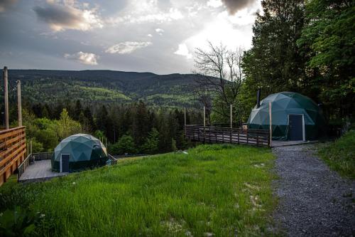 two tents in a grassy field next to a forest at BUNNY GLAMP in Korbielów