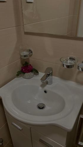 Gallery image of Apartments Horizont in Budva