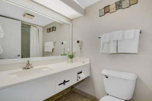 a bathroom with a toilet and a sink and a mirror at 1BR Oceanview Suite Relaxation Awaits Dogs OK! 1704 in Myrtle Beach