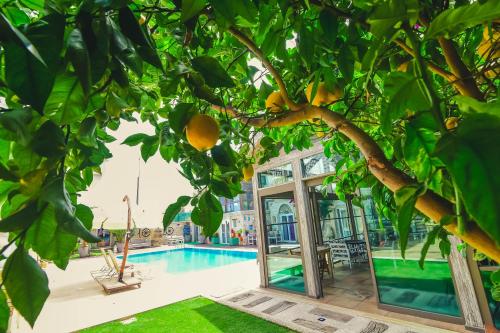 Piscina en o cerca de Rüzgargülü Otel