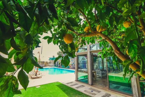 Piscina en o cerca de Rüzgargülü Otel