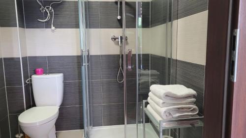 a bathroom with a toilet and a glass shower at Villa Żeglarzy-Apartamenty 3pokojowe in Rusinowo