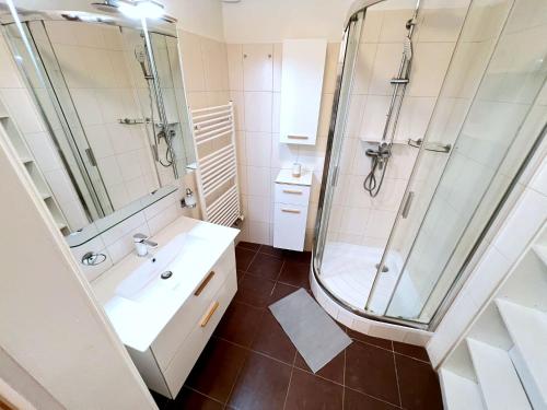 a bathroom with a shower and a sink and a mirror at At the Blue Lion & Parking Assistance in Prague