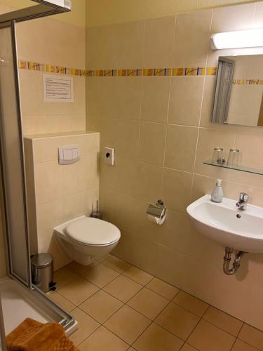 a bathroom with a toilet and a sink at Pension Spreewaldstube in Vetschau