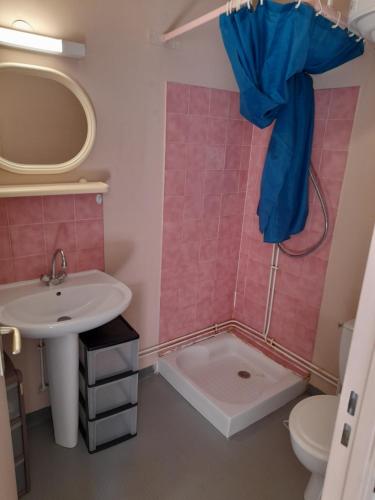 une salle de bain avec un lavabo, des toilettes et un miroir dans l'établissement Super appartement centre ville Digne-les-Bains, à Digne-Les-Bains