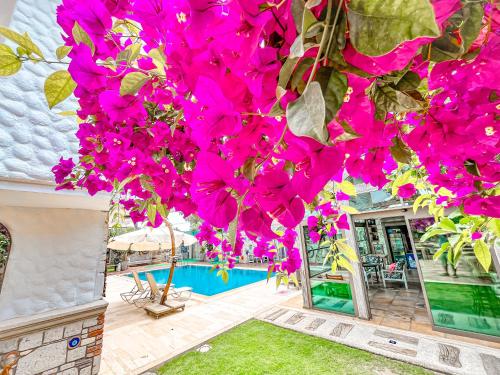 Piscina en o cerca de Rüzgargülü Otel