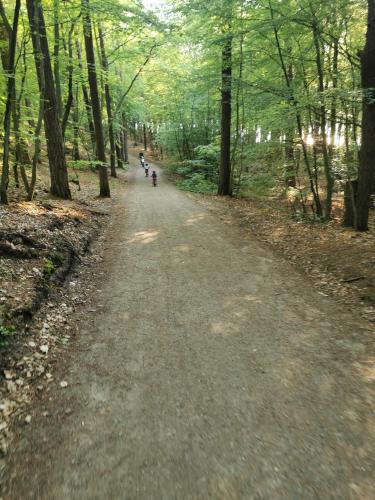 a dirt road in a forest with two people and a dog at APARTAMENT 15B BLUE MARINE Poddąbie Basen Odkryty Brodziki Plac Zabaw in Poddąbie