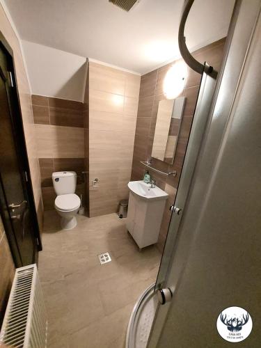 a small bathroom with a toilet and a sink at Casa Adi in Moieciu de Sus