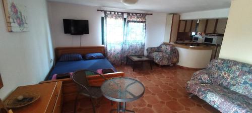 a small room with a bed and a couch at Olgas Villa in Aroyí