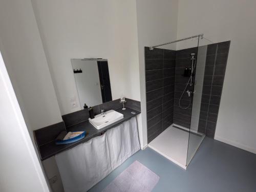 une salle de bain avec un lavabo et une douche dans l'établissement Maison de ville Marmande, à Marmande