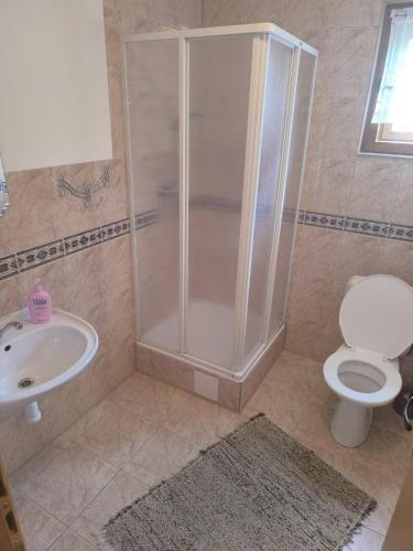 a bathroom with a shower and a toilet and a sink at Apartmány Hudec in Zuberec