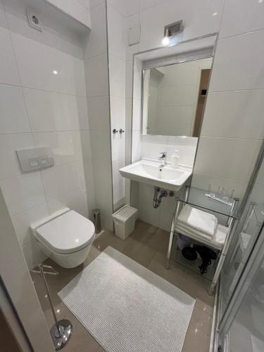 a white bathroom with a toilet and a sink at St Martin Apartment in Vienna