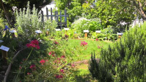 a garden with pink flowers and a fence at La Maison Lourégo BLEUET in Hauterives