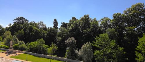 a large group of trees in a park at La Maison Lourégo BLEUET in Hauterives