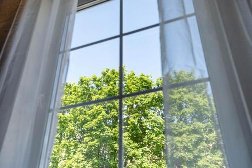 a window with a view of a tree at Old brick boutique apartments in Klaipėda