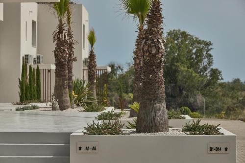 Ein Garten an der Unterkunft Casa Tsouka ApartHotel