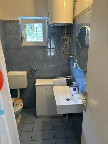 a bathroom with a sink and a toilet and a mirror at Kuća Roza in Rukavac