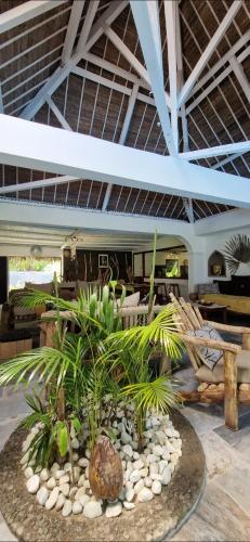 a garden in a room with rocks and plants at La VILLA BORAHA 300m2 PROPRIÉTÉ ENTIERE en bord de plage PISCINE PRIVEE Cuisine TV Wifi in Sainte Marie