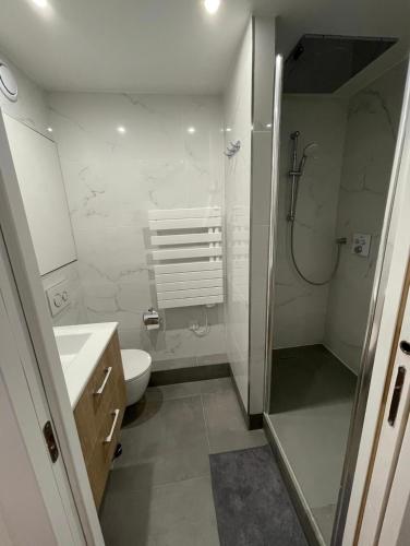 une salle de bain avec une douche, des toilettes et un lavabo dans l'établissement PARIS Esplanade 1029, à Courbevoie