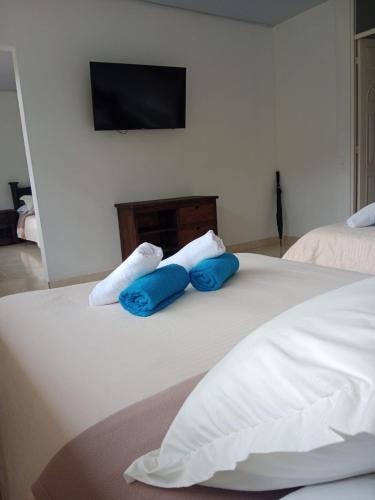 a bed with two blue pillows and a tv on the wall at Hotel Cafetero Valparaíso in La Vega