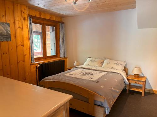 Appartement Chamonix