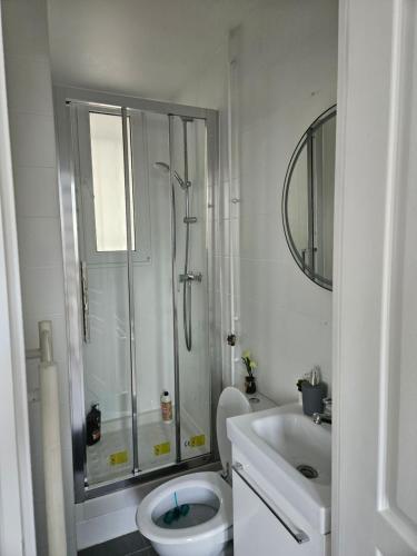 a bathroom with a shower and a toilet and a sink at spacieux duplex Stade de France 24 pour 4 personnes in Saint-Denis