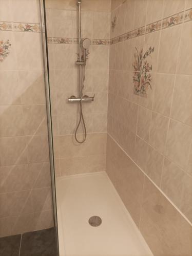 une douche avec une porte vitrée dans une salle de bain dans l'établissement Joli appartement entier, à Vitry-sur-Seine