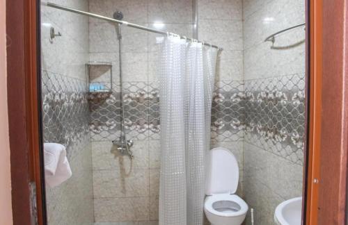 a bathroom with a shower with a toilet and a sink at Апартаменты с кухней и номера с удобствами у моря in K'obulet'i