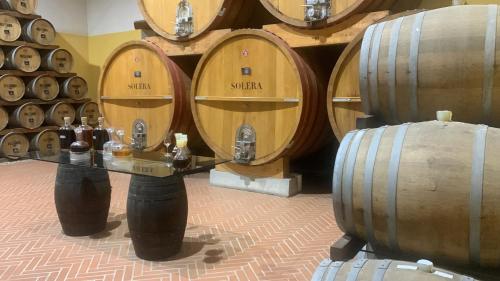 a bunch of wine barrels in a wine cellar at La Mimosa Case Vacanze in Marsala