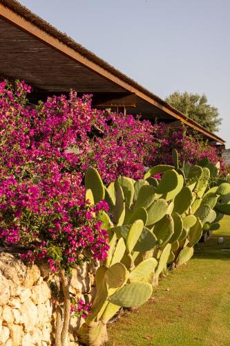 a row of pink flowers on a stone wall at Masseria San Francesco in Savelletri di Fasano