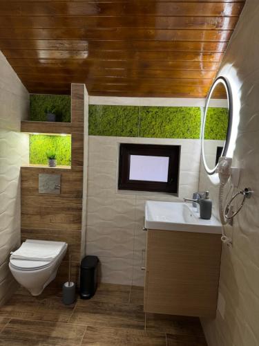 a bathroom with a toilet and a sink at Hanul Doctorului Badeni-Runcu Apartament in Bădeni