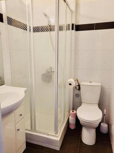 une salle de bain avec une douche, des toilettes et un lavabo dans l'établissement T2 apartment , beautiful view in Hyères near beach, à Hyères